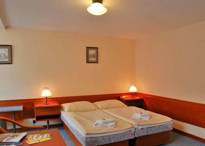 Lomnice Hotel & Restaurant Hotel 3*