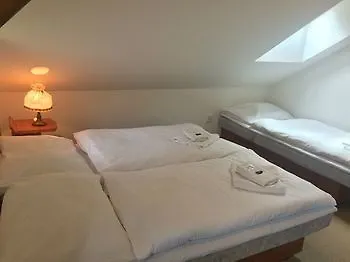 Lomnice Hotel & Restaurant فندق Špindlerŭv Mlýn