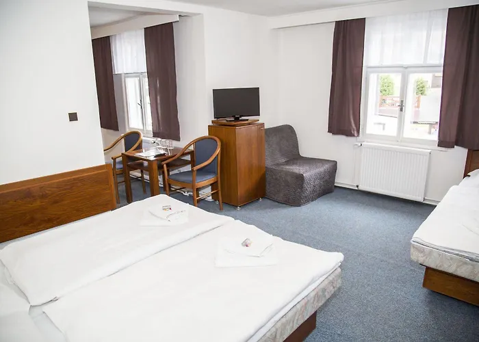 Lomnice Hotel & Restaurant Готель 3*