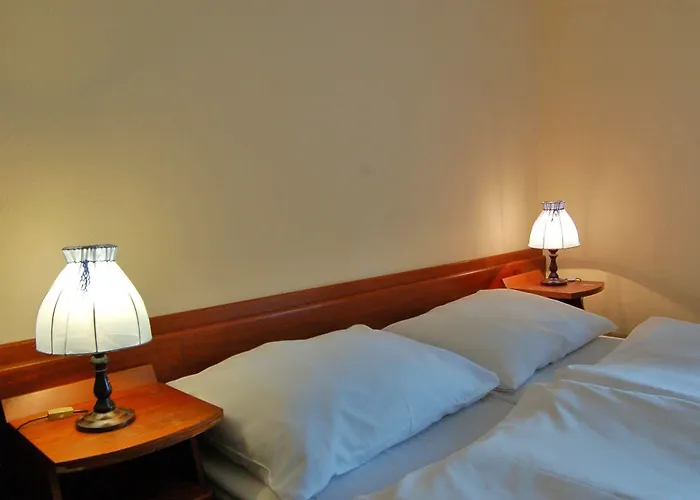 Lomnice Hotel & Restaurant Готель 3*